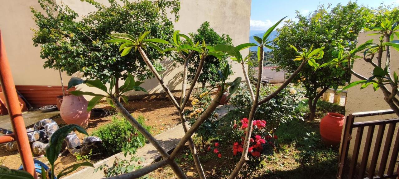 Village House With A Nice Garden Sternai Экстерьер фото